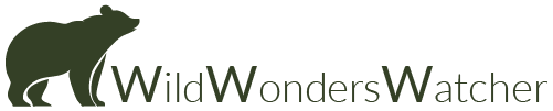 Wild Wonders Watcher